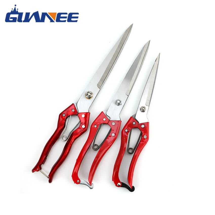 product-850-850 product-850-850