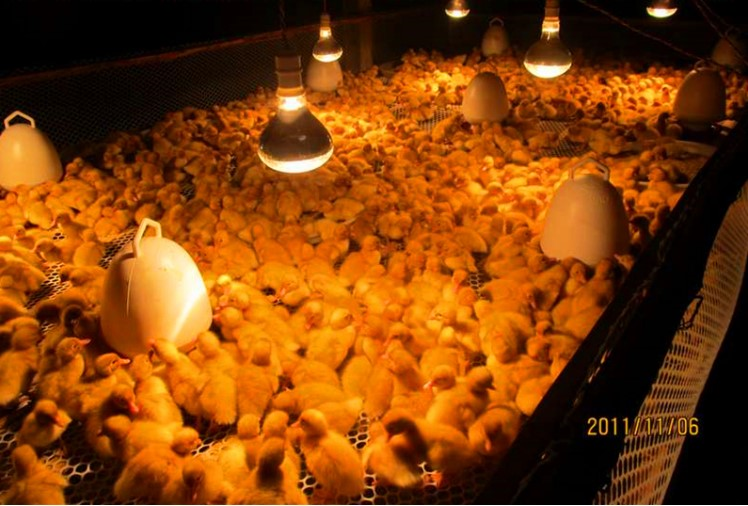 20230724151020 20230724151020