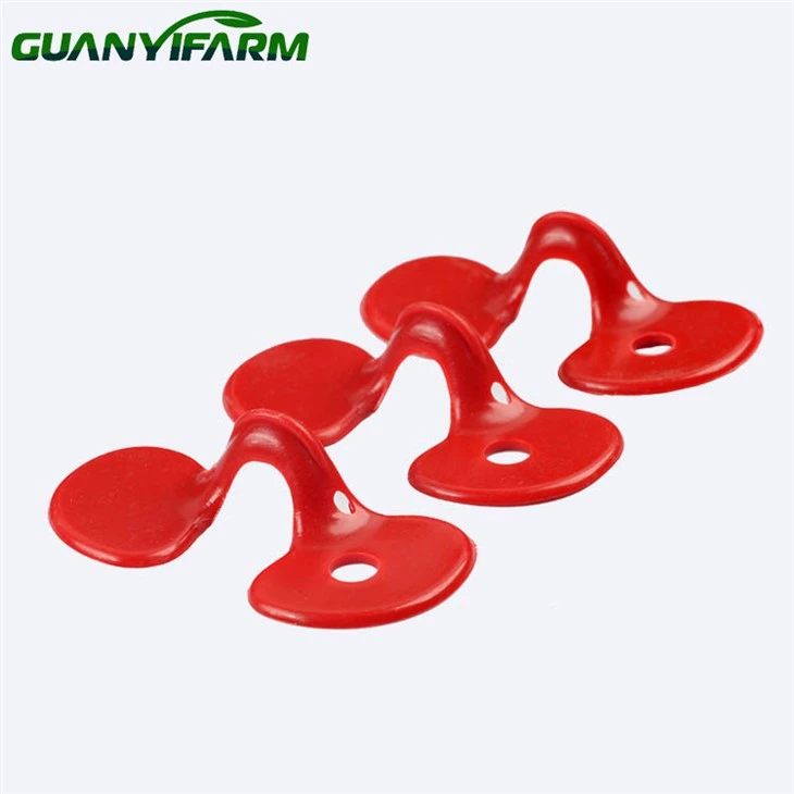 Chicken Plastic Eye Glasses