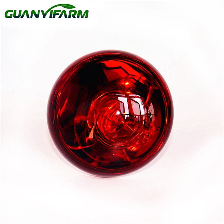 Infrared Heat Lamp for Chicks