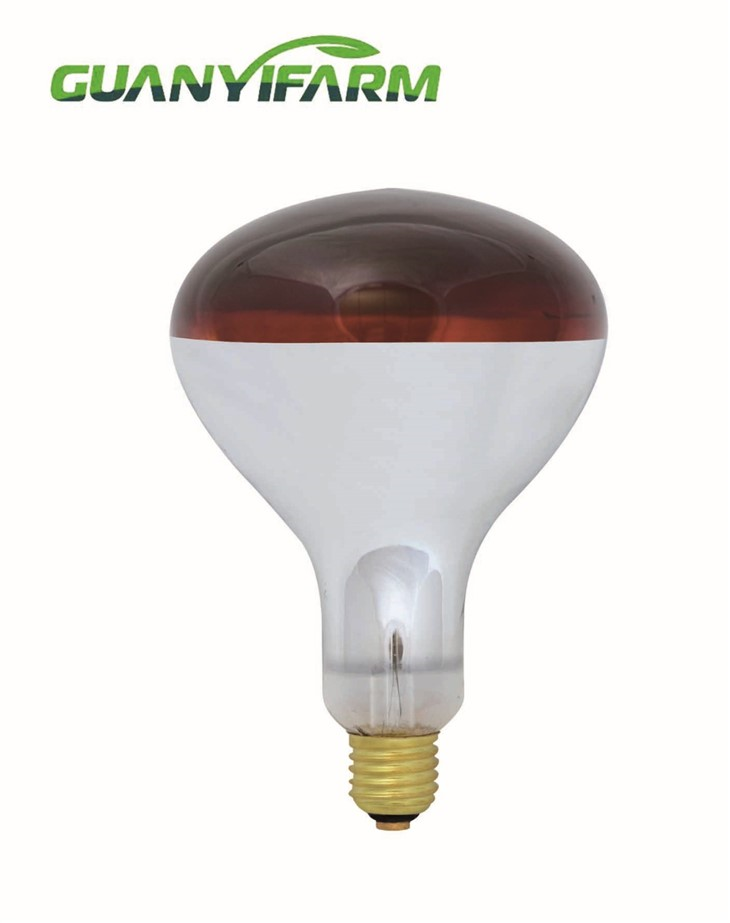 R125 Infrared Lamp For Poultry