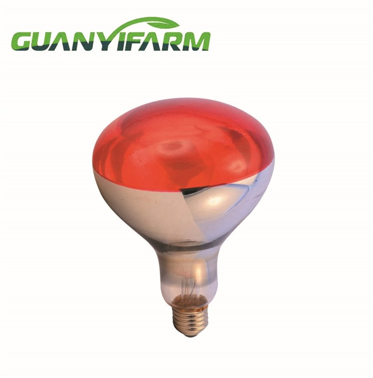 R125 Infrared Lamp For Poultry