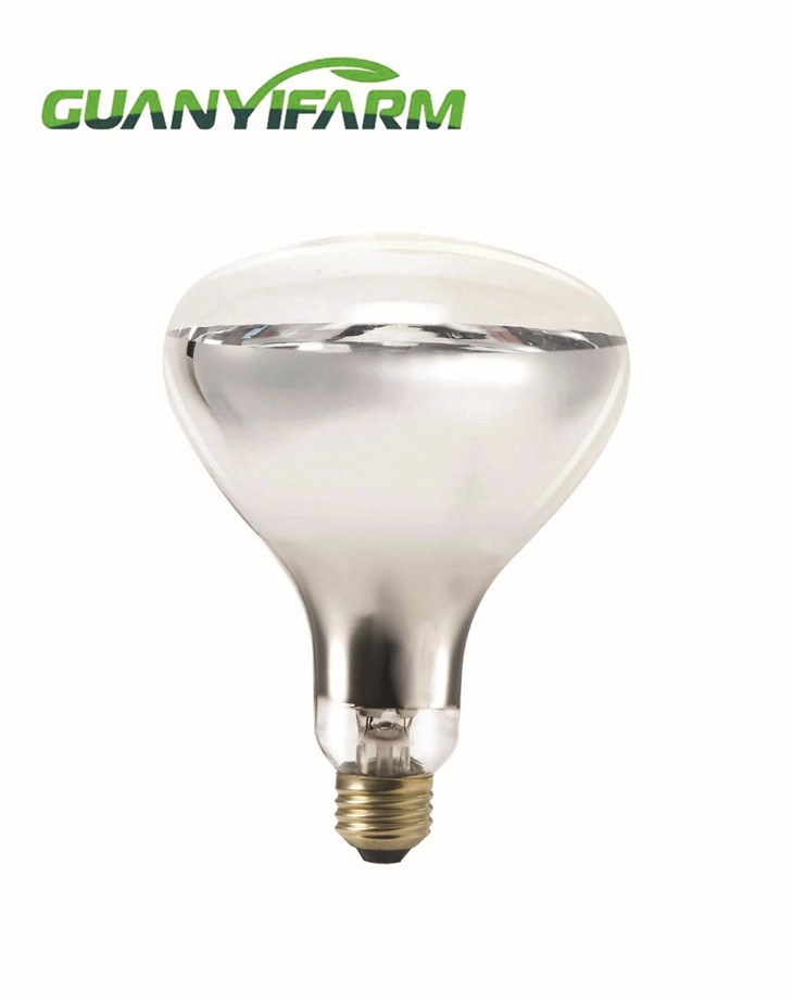 R125 Infrared Lamp For Poultry