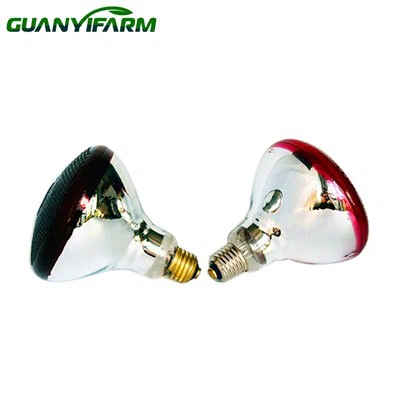 گرم نگه داشتن جوجه ها