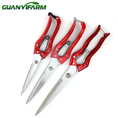 ماشین اصلاح پشم گوسفند