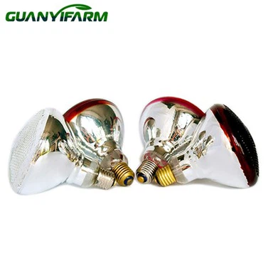 لامپ مادون قرمز گرم نگه داشتن جوجه ها