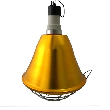 آباژور برای جوجه ها