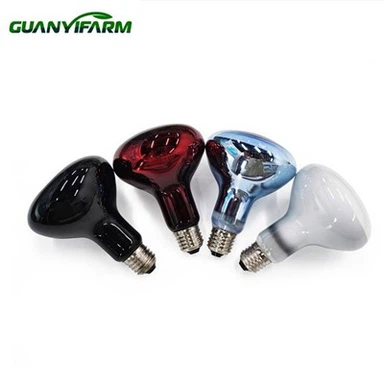 لامپ خزندگان R63